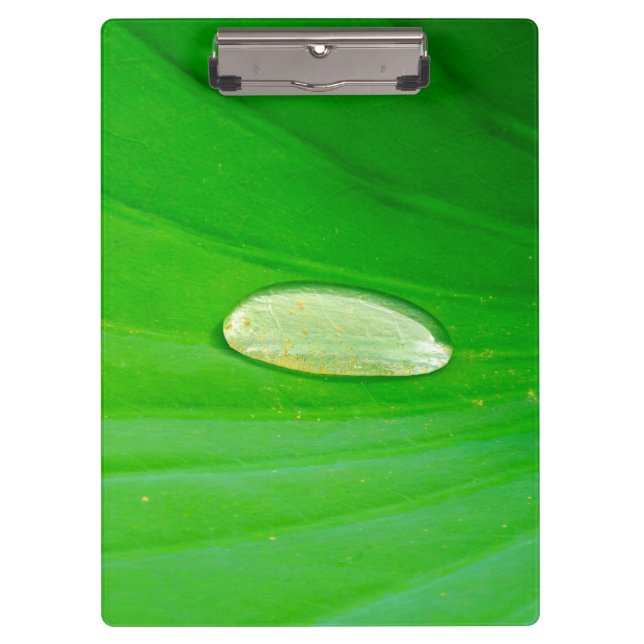 Lily Pad Clipboard (Front)