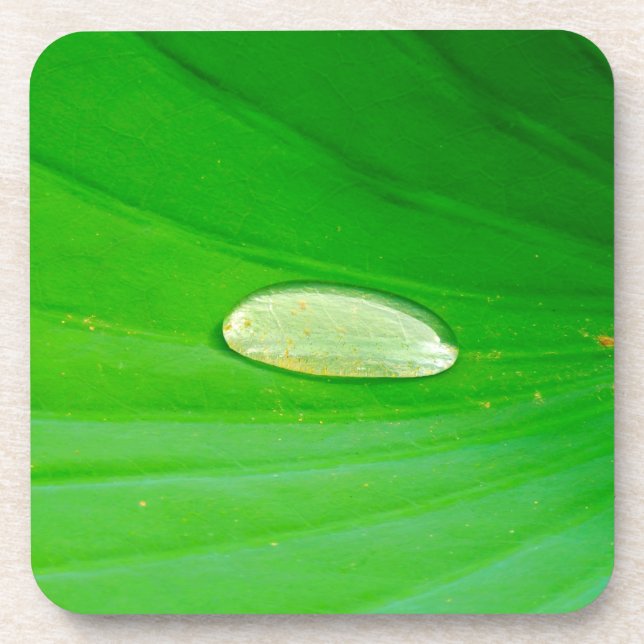 Lily Pad Hard Plastic Coaster (Front)