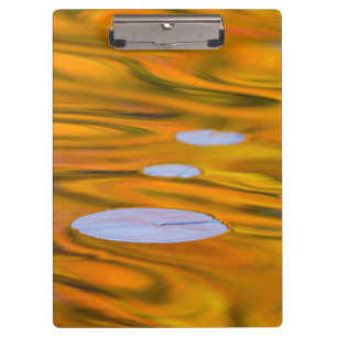 Lily pad on orange water, Canada Clipboard