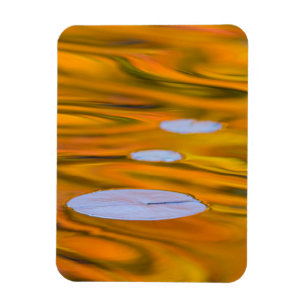 Lily pad on orange water, Canada Magnet