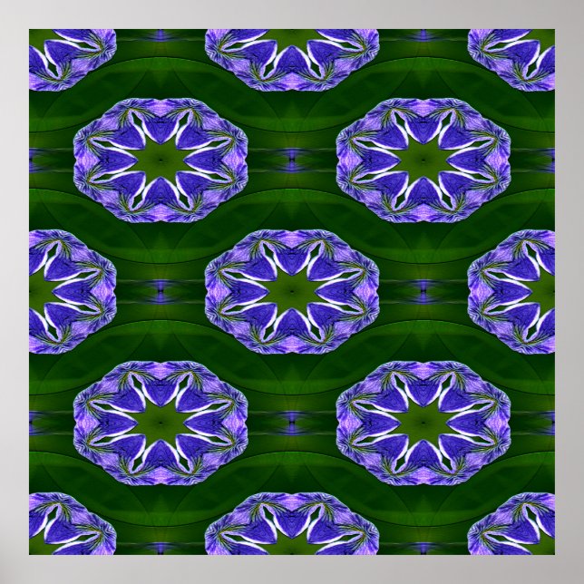 Lily pad stars.... poster (Front)