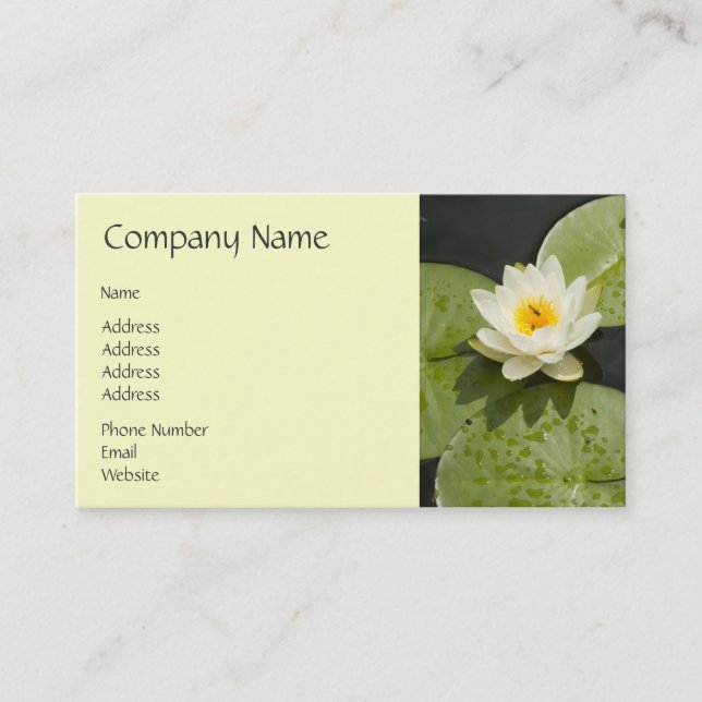 Lily Pads and White Lotus Flower Business Card (Front)