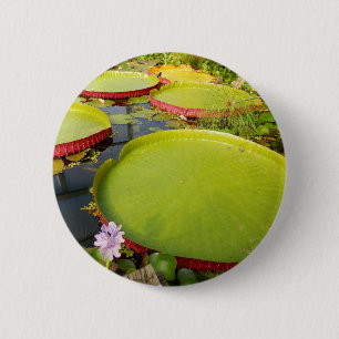 Lily Pads Badge