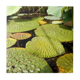 Lily Pads Ceramic Tile