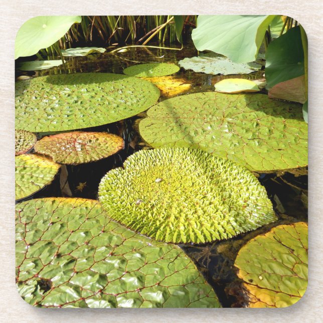 Lily Pads Hard Plastic Coaster (Front)