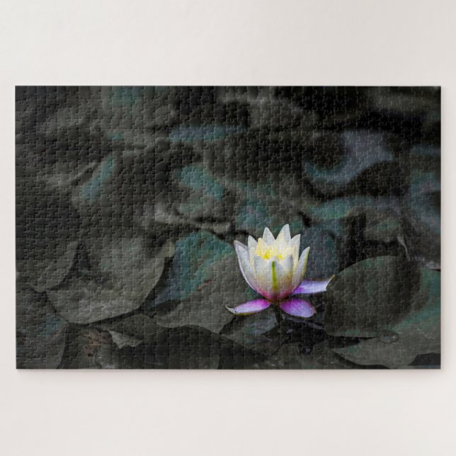 Lily Pads Jigsaw Puzzle (Horizontal)