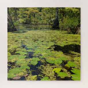 Lily Pads Jigsaw Puzzle