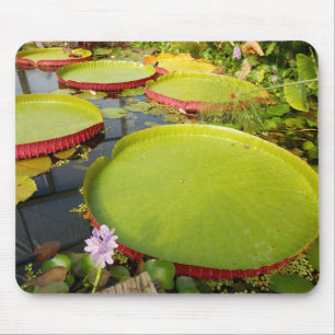 Lily Pads Mouse Mat