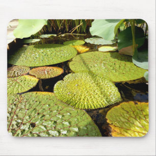Lily Pads Mouse Mat