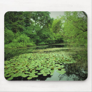 Lily Pads on the Pond Mouse Pad