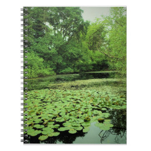 Lily Pads on the Pond Notebook