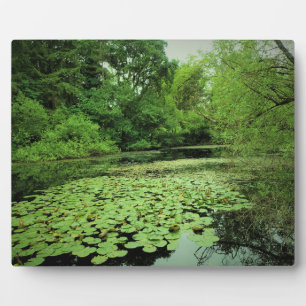 Lily Pads on the Pond Plaque