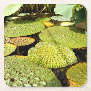 Lily Pads Paper Coaster