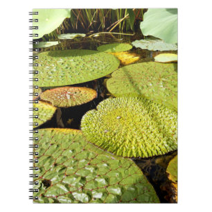 Lily Pads Photo Notebook