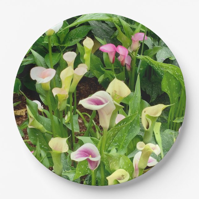 lily paper. plate (Front)