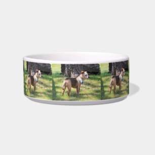 Lily Pet Bowl