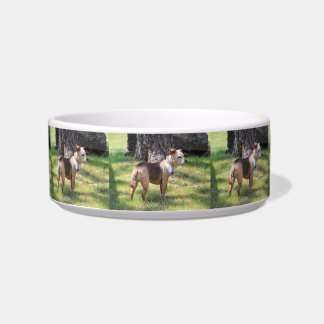 Lily Pet Bowl
