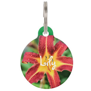 Lily Pet Tag