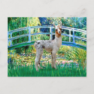Lily Pond Bridge - Baby Llama Postcard