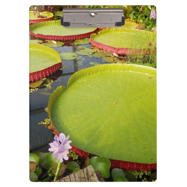 Lily Pond Clipboard (Front)