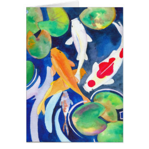 lily pond Koi