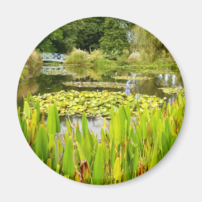 Lily Pond Magnet (Front)