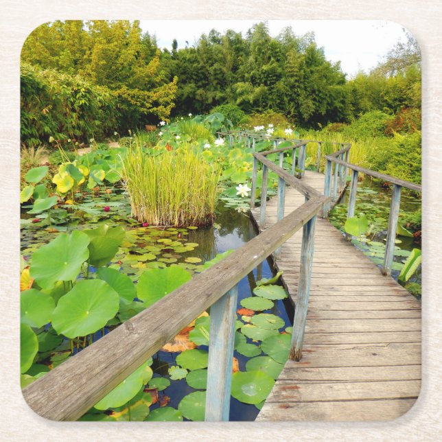Lily Pond Paper Coaster (Front)