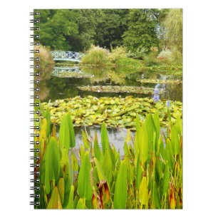 Lily Pond Photo Notebook