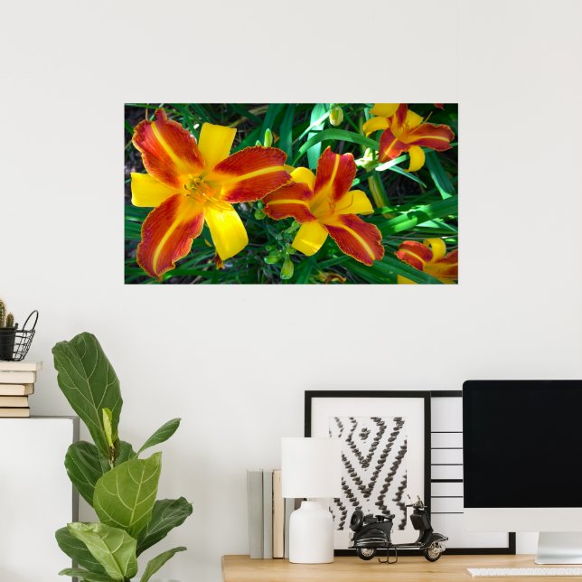 Lily, Poster (Home Office)