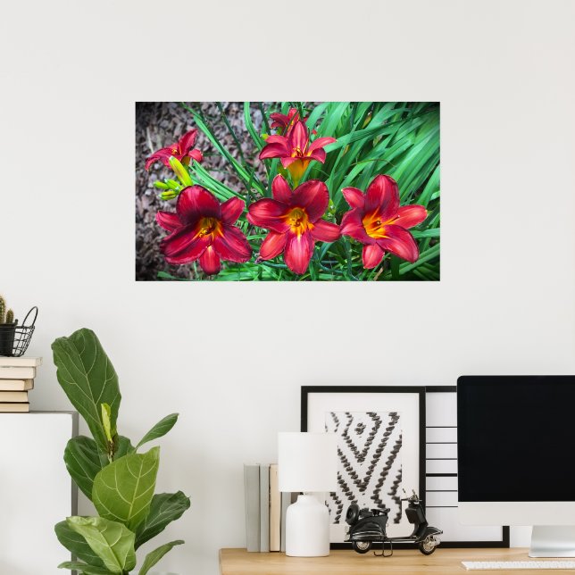 Lily, Poster (Home Office)
