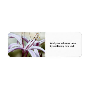Lily Return Address Labels