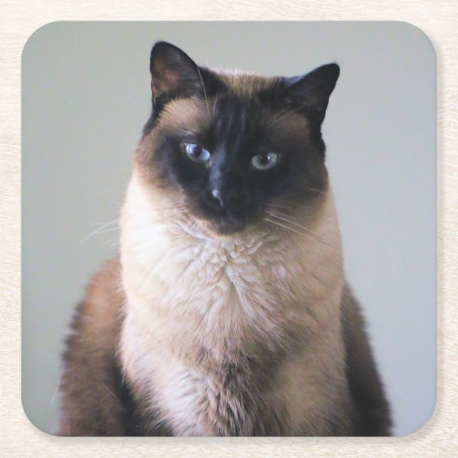 Lily Square Paper Coaster (Front)