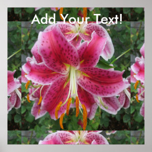 Lily Stargazer Purple Flower Poster