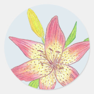 Lily Sticker