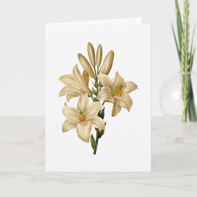 Lily Sympathy Greeting Card (Front)