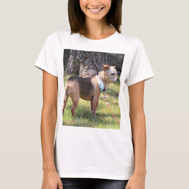 Lily T-Shirt (Front)