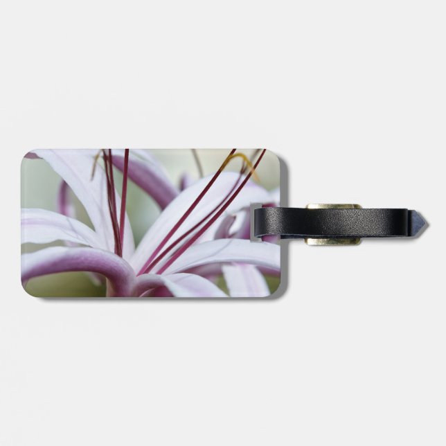 Lily Tags For Luggage - Customised (Back Horizontal)