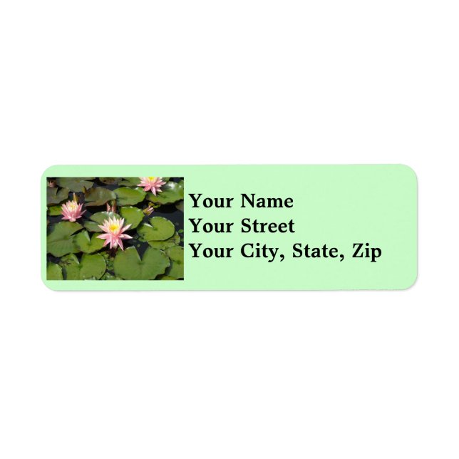 Lilypad Flowers Return Address Labels (Front)