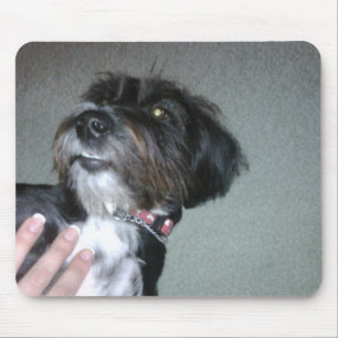 Lilypad Mouse Pad