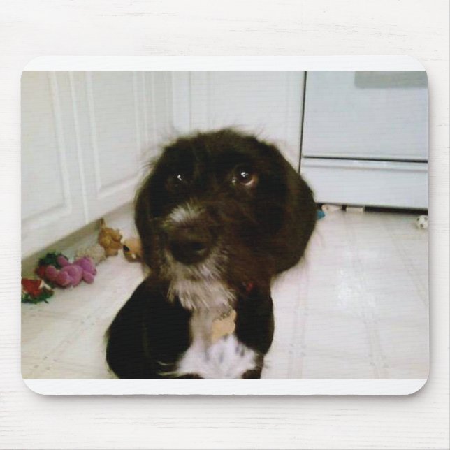 Lilypad Mouse Pad (Front)