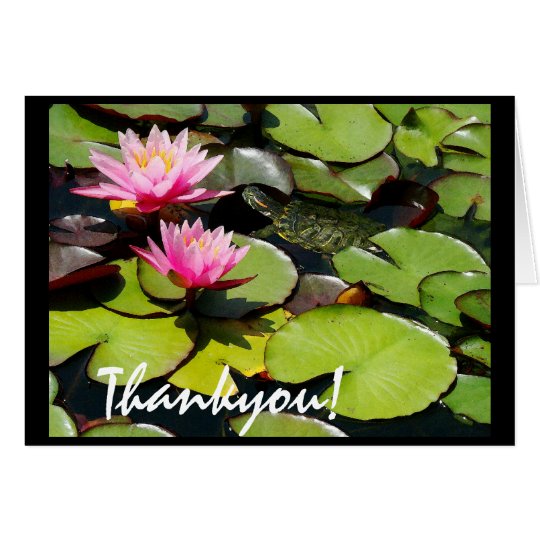 Lilypad Turtle Thankyou Card