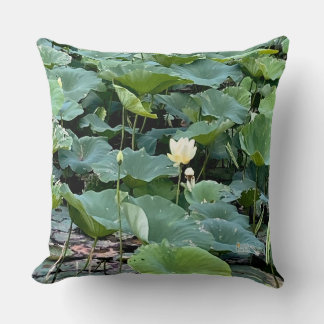 Lilyshade Silence Cushion