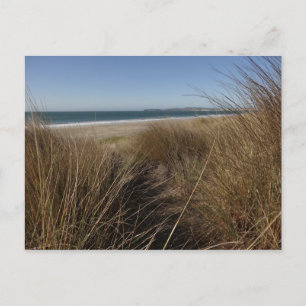 Limantour Beach at Point Reyes National Seashore I Postcard