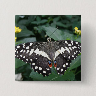 Lime Butterfly and flowers Button