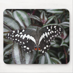 Lime Butterfly Mousepad