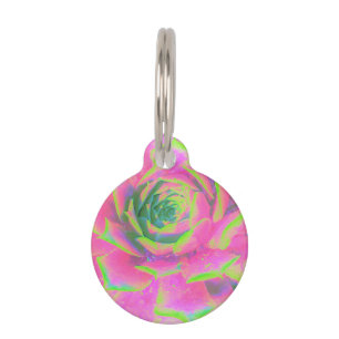 Lime Green and Pink Succulent Sedum Rosette Pet Tag