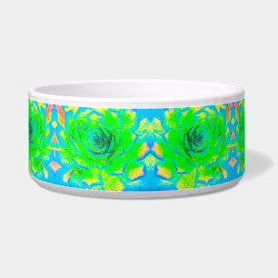 Lime Green Chartreuse Succulent Sedum Rosette