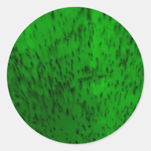 Lime Green Earthenware Classic Round Sticker