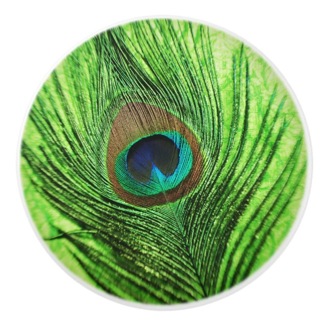 Lime Green Peacock Ceramic Knob (Front)
