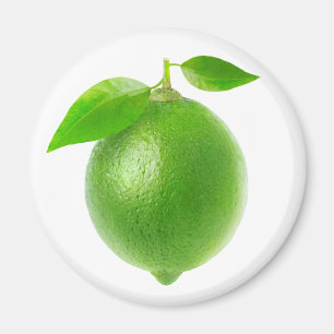 Lime Magnet